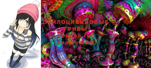 бошки Кукмор