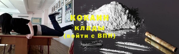 мдпв Весьегонск