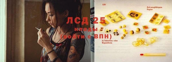 мдпв Весьегонск