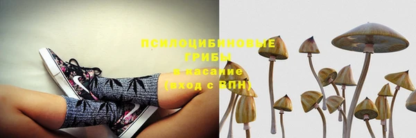 MDMA Premium VHQ Ладушкин