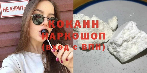 молекула духа Кулебаки
