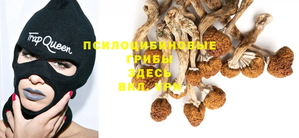 MDMA Premium VHQ Ладушкин