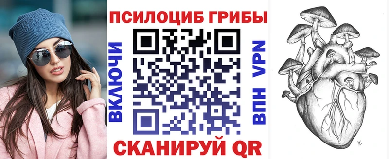 блэк спрут ONION  Мурино  Галлюциногенные грибы Magic Shrooms 